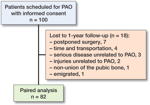 Flowchart of the study process. 100 consecutive patients with symptomatic hip dysplasia scheduled for periacetabular osteotomy (PAO) were included from Department of Orthopedic Surgery, Aarhus University Hospital, Denmark.
