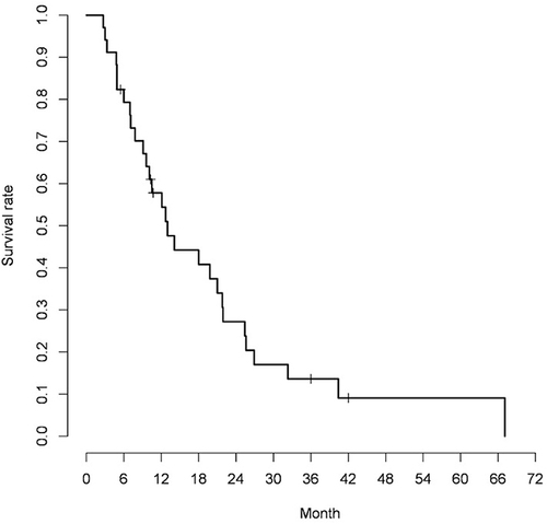 Figure 1 Kaplan-Meier curve for overall survival in all patients (median overall survival 13 months, 95% confidence interval 9.1–21.8).