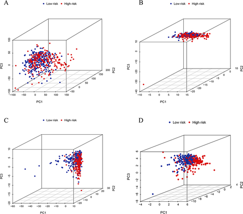 Figure 6 PCA analysis depends on different gene risk models. PCA between the high-risk and low-risk groups based on (A) all genes, (B) FAM-related genes, (C) all FAN-related lncRNA, and (D) eleven FAM-related lncRNA risk models.