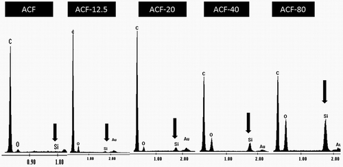 Figure 3. EDX analysis of ACF, ACF-12.5, ACF-20, ACF-40, and ACF-80 for chemical characterization.