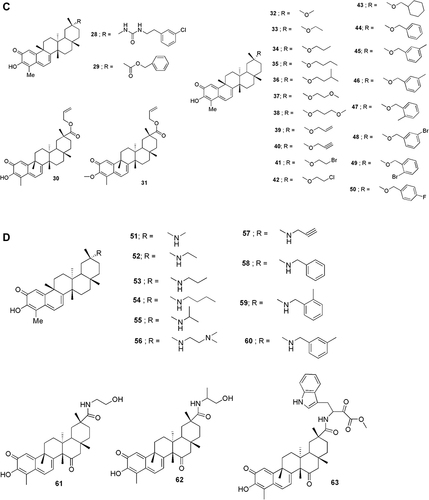 Figure 4 (A-D) Structurally relevant molecules of celastrol. The main body text contains information on the numbered molecules.