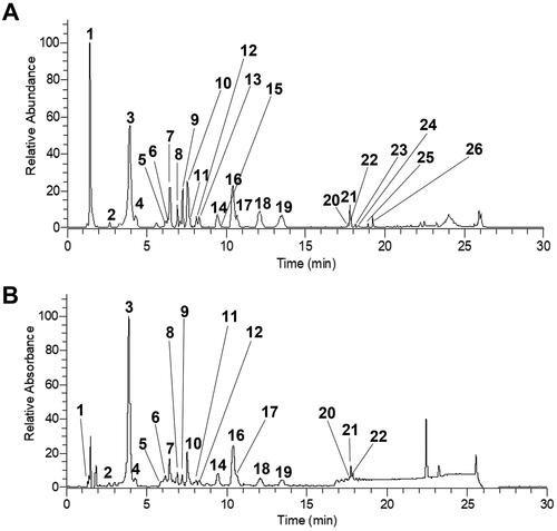 Figure 3. Base peak chromatogram of sea fennel methanolic extract in HESI negative mode full MS [m/z 110–1650] (A) and DAD (200–400 nm) (B).