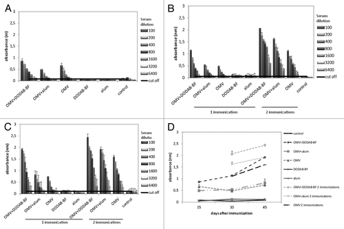 Figure 2. IgG levels in the sera of mice immunized with OMVs from N.lactamica. The serum of 6 animals per group was collected, pooled and analyzed by ELISA: (A) 15 d after immunization; (B) 30 d after immunization; (C) 45 d after immunization; (D) Kinetics of IgG production over time. The composition of OMV-DDA-BF was statistically superior (p < 0.01) to the OMV-alum or OMV alone for the production of total IgG, both with just one dose or two doses of antigens (results represent mean ± SD of the pooled serum of six animals per group).