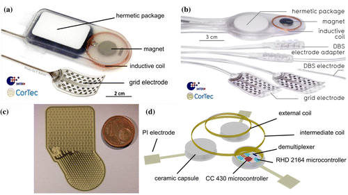 Figure 1. State of the art implant system and future design options for closed-loop neuroimplants developed in Freiburg, Germany. (a) The Braincon μECoG-based implant system utilized in former animal studies consisting of a hermetic package, which hosts internal electronic components, a magnet for proper alignment between inductive coil and an extracorporeal powering device and one electrode array. (b) The BrainInterchange implant system supporting two μECoG electrode arrays and two DBS leads for neural recordings and stimulation. (c) 246-channel μECoG electrode array for future high-resolution neural recordings. Upper (rectangular) part of the array: area with electrode contacts. Lower (circular) part of the array: area connected to electronic parts. (d) Option for future brain implants utilizing highly efficient multi-coil inductive powering technology for a modular device design.