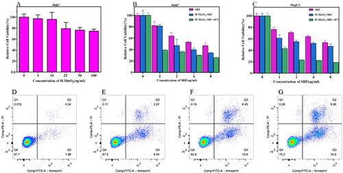 Figure 8. (A) Relative viability of Huh7 cells after incubation with different concentrations of H-MnO2. (B and C) Relative viability of Huh7 and HepG2 cells after incubation with free SRF, H-MnO2-SRF and H-MnO2-SRF-APT at different SRF concentrations. (D–G) The apoptosis rates of Huh7 cells co-cultured with PBS, free SRF, H-MnO2-SRF, and H-MnO2-SRF-APT nanoparticles for flow cytometry apoptosis data.