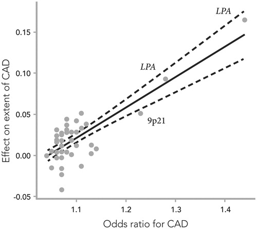 Figure 2. The effects of 50 single-nucleotide polymorphisms (SNPs) on the extent of coronary artery disease (CAD), expressed as the increase in number of diseased coronary arteries (with at least 50% stenosis) per SNP risk allele, plotted against their respective effect on CAD risk (odds ratio), previously reported in meta-analyses of genome-wide association studies. Combined effect sizes in the Icelandic and Emory Biobank samples are presented where available. The solid line denotes best linear fit, and the dashed lines indicate 95% confidence limits. Adapted from ref. Citation32.