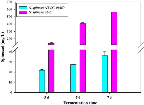 Figure 1. Spinosad production by two S. spinosa strains during different fermentation phases.