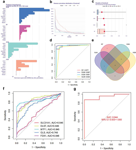 Figure 8. Construction and evaluation of RF, SVM, GLM, and XGB machine learning models.