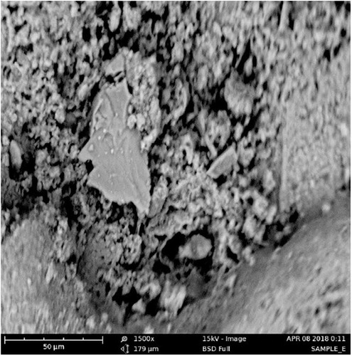 Figure 12. SEM micrograph of BFRSCC 4 mix after 28 days of curing