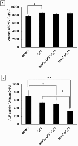 Figure 4. DNA amounts (a) and ALP activities (b) of D1 cells cultured in the absence (control) and the presence of 1 mg of OCP, low-Cu-OCP + OCP, and low-Cu-OCP at 14 days. (*p < 0.05 and **p < 0.01).