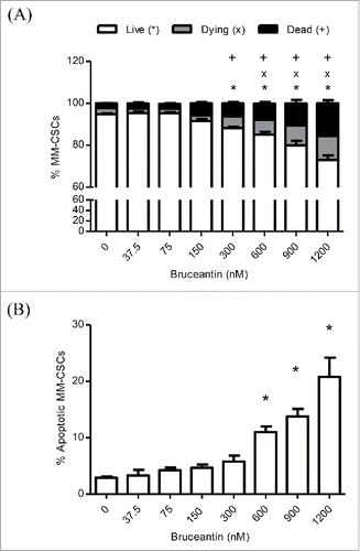 Figure 2. Effect of BCT on MM-CSCs viability. MM-CSCs were treated with vehicle control or increasing concentrations of BCT for 24 h, and then stained with calcein AM/ethidium homodimer for cell viability/death (A), or annexin V/propidium iodide for apoptosis (B). As described in Materials and Methods, live/dead and apoptotic cells were quantified by flow cytometry (at least 10,000 cells were counted), and the percentage of live, dying, dead, or apoptotic cells was determined using the software provided by the flow cytometer manufacturer. Results represent the means ± SEM of at least 3 independent experiments. Percentage of living (*), dying (x), dead (+), or apoptotic MM-CSCs (*) significantly different from control values as determined by a one-way ANOVA, followed by Bonferroni multiple comparison test (p < 0.05).