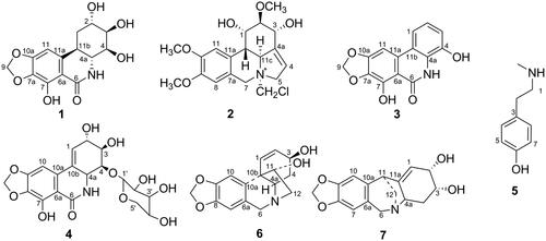 Figure 1. Structure of compounds isolated from Hippeastrum reticulatum.