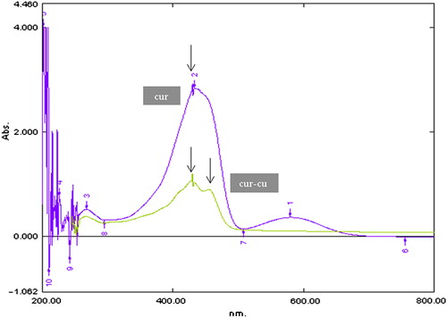Figure 1. UV-Spectral comparison of curcumin (cur) and curcumin-copper (Cur-Cu) complex.