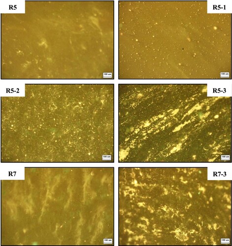 Figure 10. Influence of RET on the microscopic morphology of RPE-modified bitumen.