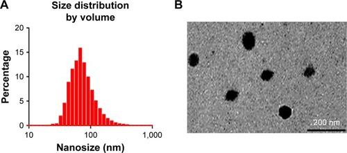 Figure 1 The size characterization of PAMCP.Note: The nanosize of PAMCP was detected by (A) DLS and (B) TEM.Abbreviations: DLS, dynamic light scattering; PAMCP, PGA–Asp–maleimide–cisplatin–peptide complex; PGA, poly-γ-glutamic acid; TEM, transmission electron microscopy.