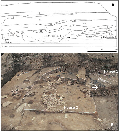 Figure 3. (A) The stratigraphy and site plan of Tongsamdong in the field season in 1999, showing pit houses; (B) sediments for flotation were sampled from the floor of House no. 1 (arrow point) (Bokcheon Museum Citation2011).