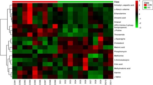 Figure 4 Heat map of the differential metabolites in the CON and DG groups.