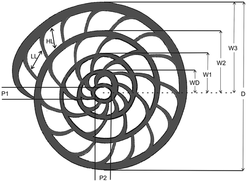 Figure 2. Schematic section of Nummulites to illustrate biometric measurements carried out in this study: P1, vertical proloculus height; P2, horizontal proloculus height; WD, distance from centre of proloculus to edge of deuteroloculus; W1, W2, W3, successive whorl radii; LL, HL, length and height of the chamber in last whorl; D, Diameter (schematic drawing of Nummulites after Drooger, Marks, & Papp, Citation1971).