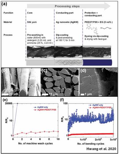 Figure 4. Features of Ag nanowire/pedot:pss-coated conductive silk yarns fabricated by using a dip coating process. (a) Schematic description of the preparation of conductive silk yarn with an Ag nanowire/PEDOT:PSS composite coating. (b) Top view and (c, d) cross-sectional SEM images of individual filaments that make up the conductive silk yarn. Normalized change in the resistance of silk yarn with AgNW and AgNW/PEDOT:PSS coatings as a function of the number of (e) machine-washing cycles and (f) bending cycles. R0 is the initial resistance before testing, and R is the resistance measured after the washing/bending/tensile tests. Reproduced with permission from ref. (Hwang et al. Citation2020).