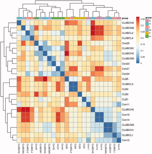 Figure 8. Heatmap analysis. Con1 and con2 represented the normal group and the untreated group. Chickens in the group CLB were administrated with qiuliling at the dosage of 10 g/kg/d. Chickens in the groups CLABCL, CLABCM and CLABCH were administrated with FMTE at the dosage of 2.5, 5, and 10 g/kg/d, respectively, through mixing with feed. The same colour in the figure represented different samples in the same group, and the closer they were to each other, the more similar the colony composition were.