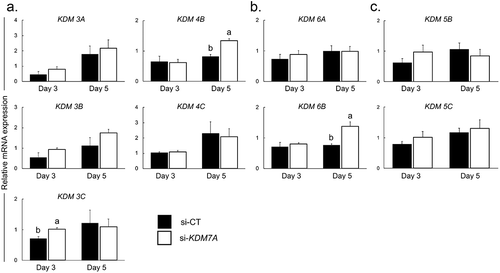 Figure 4. Relative mRNA expression of H3K9 (a), H3K27 (b) and H3K4 (c) demethylases on day 3 and day 5 PA embryos injected with si-CT (black bars) or si-KDM7A (white bars). Results are presented as means ± SEM, and P < 0.05 was considered statistically significant. Different letters indicate statistical significance between groups on the same day. Three independent replicates were performed and pools of 10–15 embryos per group from each replicate were used for mRNA extraction.