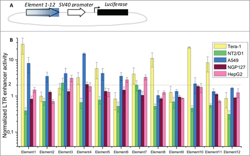 Figure 3. Profiling of LTR enhancer activity in luciferase reporter experiments. (A) Schematic representation of the luciferase reporter constructs. Filled arrow – individual LTR elements tested in this assay; empty arrow – SV40 promoter; black bar – luciferase gene; (B) relative enhancer activities for LTR elements 1–12, established in a dual-luciferase assay. Data show means ± standard deviations of 4 independent experiments. Data is shown for the cell lines Tera-1, NT2/D1, A549, NGP127 and HepG2.