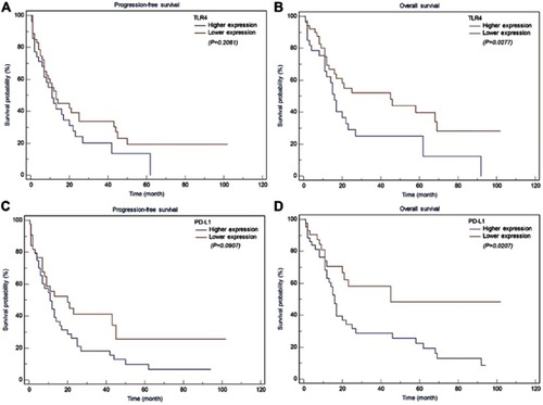 Figure 4 Kaplan Meier analysis for PFS and OS based on TLR4 and PD-L1 expression in AITL patients. (A) Kaplan-Meier analysis for PFS based on TLR4 expression in patients with AITL (log-rank test, P=0.208); (B) Kaplan-Meier analysis for OS based on TLR4 expression in patients with AITL (log-rank test, P=0.027); (C) Kaplan-Meier analysis for PFS based on PD-L1 expression in patients with AITL (log-rank test, P=0.091); (D) Kaplan-Meier analysis for OS based on PD-L1 expression in patients with AITL (log-rank test, P=0.021).