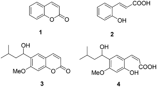 Figure 1. The simplest coumarin, compound 1, its hydrolysis product 2, and the natural product coumarin 3 (and its hydrolysis product 4) for which the CA inhibitory activity was first reportedCitation6.