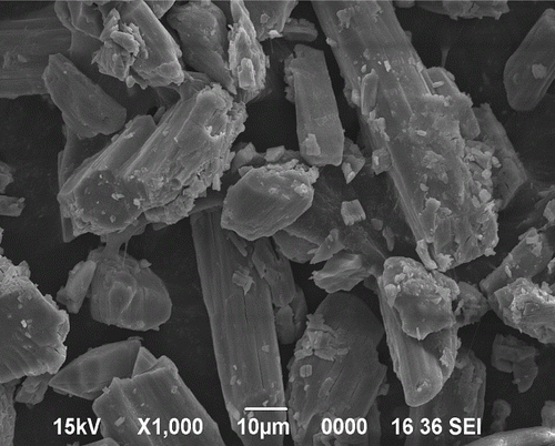 Figure 1.  SEM image of recycled ZrOCl2·8H2O.