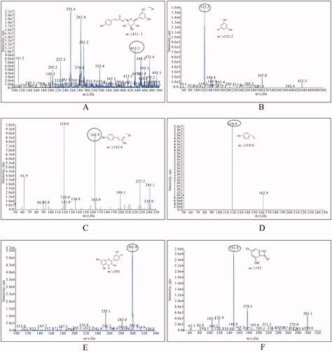 Figure 5. The mass spectrum of tadehaginoside [(A), Q1-scan; (B) Full-scan], p-hydroxycinnamic acid [(C), Q1-scan; (D) Full-scan] and quercetin [(E), Q1-scan; (F) Full-scan].