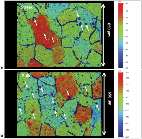 Figure 9. Interferometry topography of alkaline etched specimen