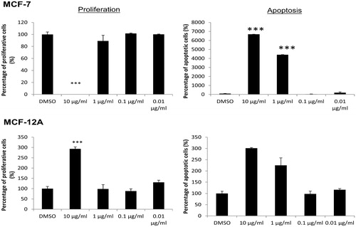 Figure 1. Proliferation and apoptotic alterations of MCF-7 breast cancer cells and non-tumorigenic MCF-12A mammary epithelial cells after 48 h incubation with different concentrations (0.01, 0.1, 1, 10 µg/mL) of compound 1 and 0.1% DMSO as negative control substance. Both measurements were determined by flow cytometry. Proliferation phase was the sum of the G2/M and S phase. Apoptotic cells were calculated from the sub-G1 phase. Negative control treatment with DMSO was set to 100%. n = 3, means ± SD, statistical significance was determined by the unpaired t-test (***p < 0.001).