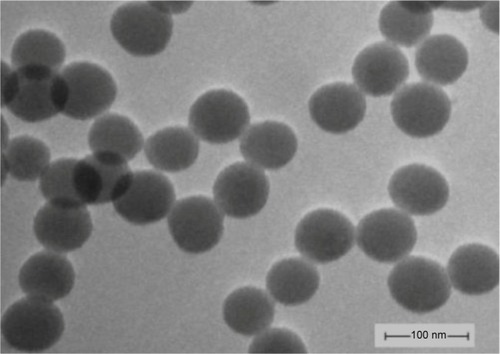 Figure 1 Transmission electron microscopy images of silica nanoparticles in serum-free Dulbecco’s Modified Eagle’s Medium (×100,000).