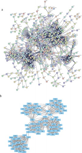 Figure 6. The PPI network and the most significant modules of DE mRNAs. (a) The PPI network was analysed using STRING. There were 1,250 nodes and 2,449 edges in the PPI network. (b) The most significant module identified by MCODE (score = 17.538). DE mRNA: differentially expressed mRNA; PPI: protein-protein interaction