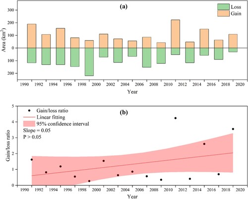 Figure 11. (a) Gains and losses of tidal wetlands from 1990 to 2020. (b) Gain/loss ratio of tidal wetlands from 1990 to 2020.