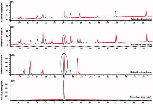Figure 4. UV-detected chromatograms of G. biloba leaf extract (A), extract of G. biloba leaves with 2% adulteration of S. japonica fruits (B), S. japonica fruit extract (C) and sophoricoside (D) at 254 nm.