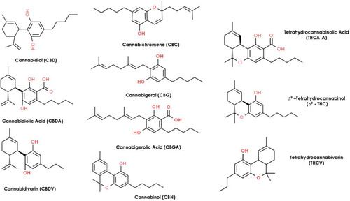 Figure 4 Chemical structures of the most common phytocannabinoids found in the hemp plant.
