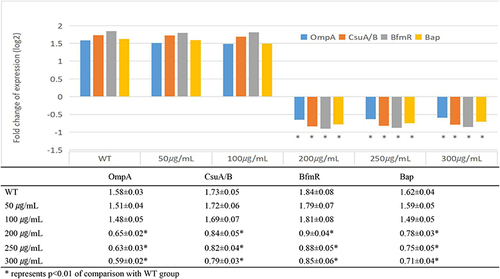 Figure 6 Effect of various concentrations of myrtenol treatment on expression profile of genes involved in biofilm formation in BP-AB.