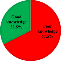 Figure 1 Levels of knowledge.