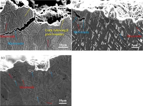 Figure 11. Longitudinal sections near the fracture surfaces of the tensile tested specimens from (a) TMC, (b) 700-FC and (c) 980-AC samples.