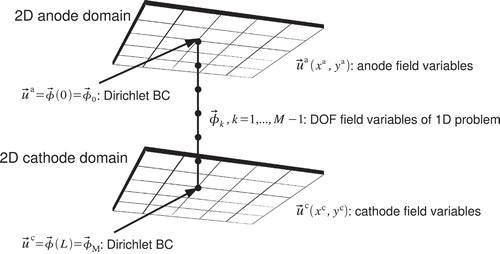 Figure 2. With the 2+1D modelling approach all degrees of freedom (DOF) of a 2D anode domain and the opposing 2D cathode domain are coupled with a 1D model. The 2D field values and are used as Dirichlet BCs and to solve a 1D FEM model. The fluxes of the 1D field variables at the 1D boundaries are used as source terms in the 2D continuity equations.