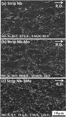 2. Scanning electron micrographs showing as received microstructures in a strip Nb, b strip Nb–Mo and c strip Nb–3Mo (R.D., rolling direction)
