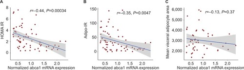 Figure 3 Correlation between abca1 mRNA expression in the visceral adipose tissue with insulin resistance markers and mean adipocyte area.
