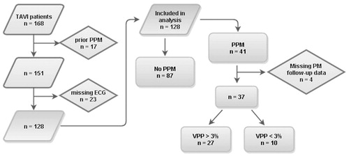 Figure 1. Study population and groups. PPM: permanent pacemaker. VPP: ventricular pacing percentage.