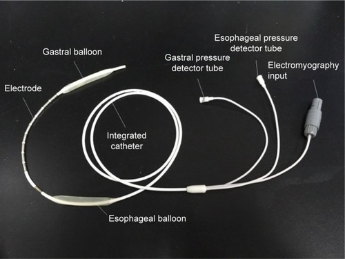 Figure 3 Multipair esophageal electrode with esophageal and gastric pressure balloons.