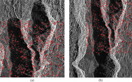 Figure 4. Matching results for two TerraSAR-X satellite images in Table 2.
