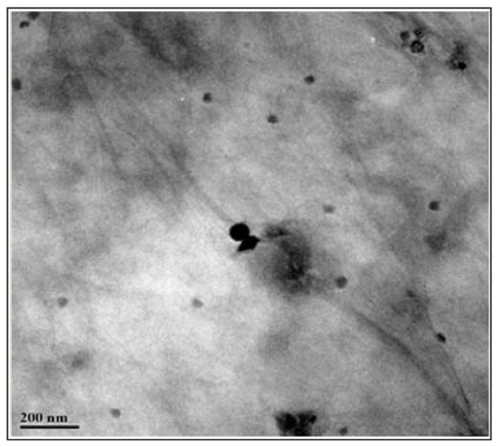 Figure S1 TEM of GQDs (average size 2–5 nm).