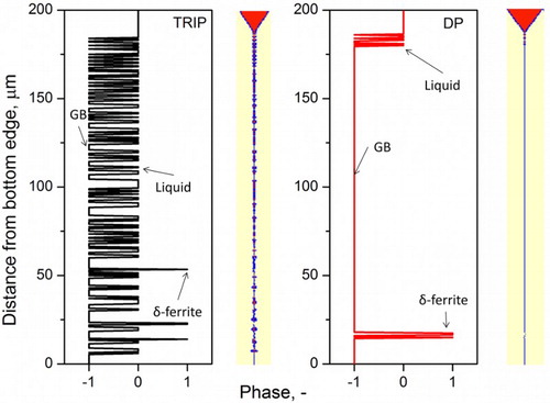 Figure 7. Phase distributions along a vertical grain boundary for the TRIP and the DP steel (number ‘0’, ‘1’, ‘−1’ represent liquid, δ-ferrite and grain boundary).