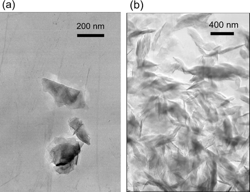 FIG. 5 TEM images of colloidal graphite (Alfa Aesar, Inc, Stock# 41773) particles collected on collodion films with Cu-grid. (a) Collected downstream of the DMA with a transmission mobility diameter of 200 nm. (b) Collected downstream of thermo-denuder prior to sizing by DMA.