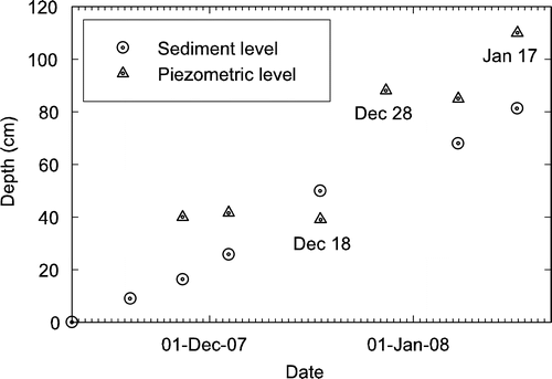 FIGURE 7 Depth of sediment and piezometric level relative to the sediment-free ice surface, Lake Fryxell. The slope of the sediment curve is 1.2 cm day−1. The piezometric depth increased abruptly from 0.4 to 0.9 m in late December 2007.